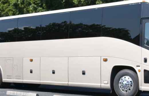 Party Bus Rental - Supply