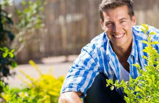 Shrub Planting - Wicklow