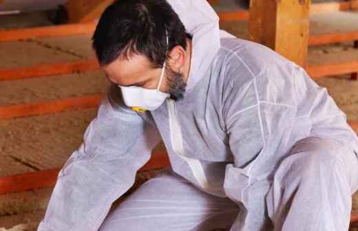 Instalación o renovación de aislamientos - Aislamiento