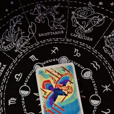 The Venue Era - Fixando India