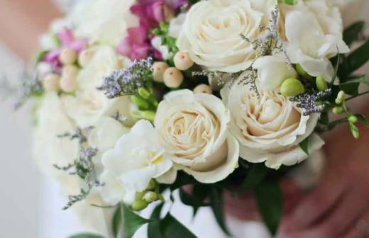 Wedding Officiant - Go Go