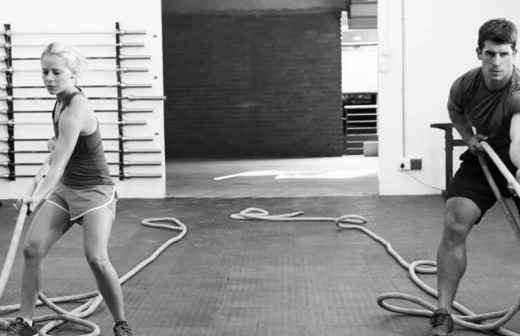 Circuit Training - Training