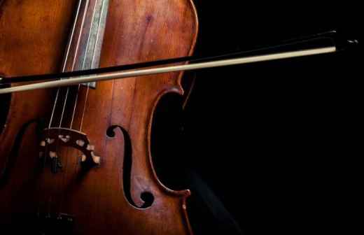 Viola Lessons (for children or teenagers) - Malad West