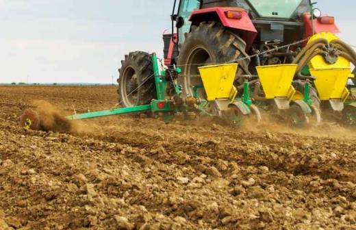 Seeding