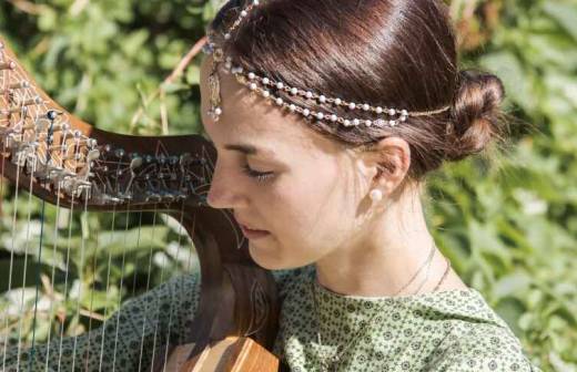 Harp Lessons (for children or teenagers) - Drumming