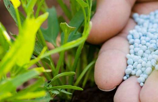 Fertilizing - Borivali West