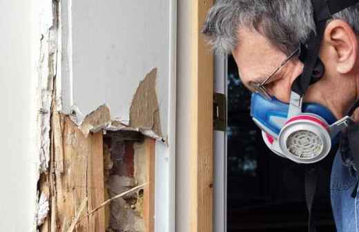 Termite and Pest Inspection - African