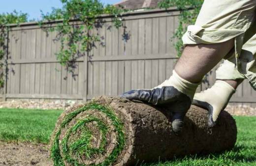 Sod Installation - Gravel