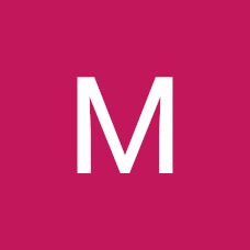 Miguel Angel Flores Herrada - Fixando México