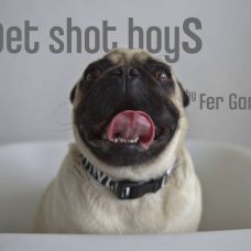 PSBFERPHOTO - Fixando México