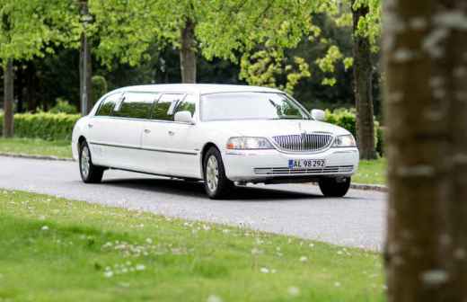 Alquiler de autobuses y coches