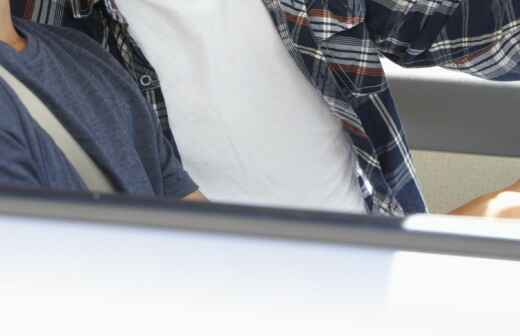 Driving Lessons - Valance