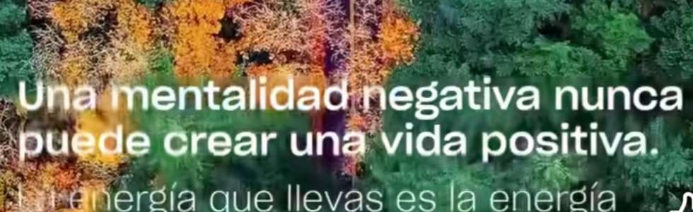 Terapia cu&aacute;ntica - Fixando