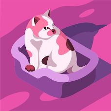 Flavorsome Affair - Fixando New Zealand