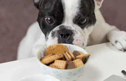 Pet Care and Grooming