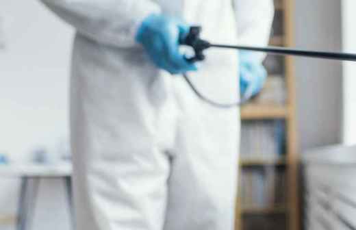 Cockroach removal - Disinfect