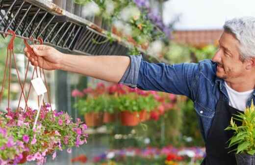 Greenhouse Services - Gardening Companies