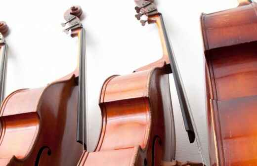 Double Bass Lessons (for children or teenagers) - horowhenua