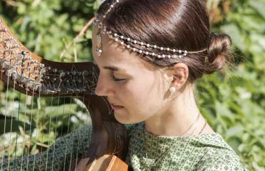 Harp Lessons (for children or teenagers) - Dunedin