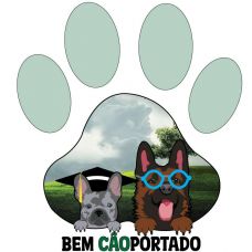 Ricardo Fernandes - Treino de Cães - Aulas - Rio de Mouro