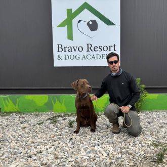 Bravoadestrador - Treino de Cães - Aulas - Carnaxide e Queijas