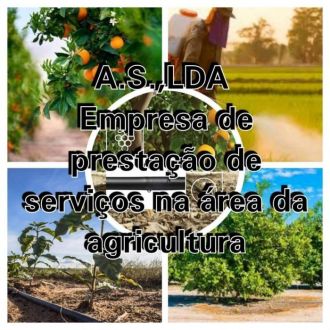 A.S. prestadores de serviços agrícolas - Aluguer de Equipamentos - Silves