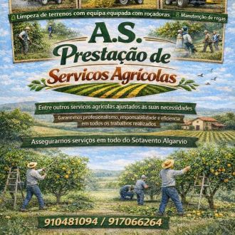 Augusta S. - Canalizador