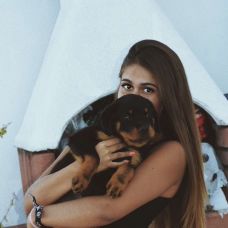 Bárbara Martins - Creche para Cães - Porto Salvo