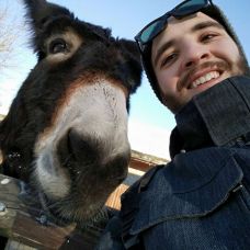 João S. - Pintura de Interiores