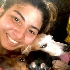 Jessica Leao - Hotel e Creche para Animais - Organização de Casas