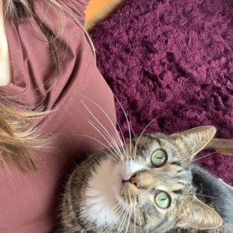 Pet sitter - Cat Sitting - Cascais e Estoril
