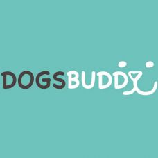 Dogsbuddy - Treino de Cães - Aulas Privadas - Gl??ria e Vera Cruz