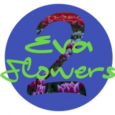 Eva2flowers - Floristas - Lisboa