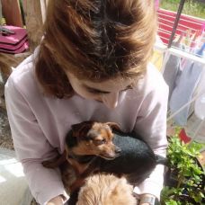 Ana Santos - Creche para Cães - Agualva e Mira-Sintra