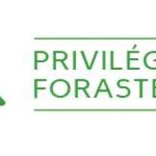 PRIVILÉGIO FORASTEIRO - Piscinas, Saunas, Hidromassagem e SPAs - Lisboa