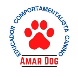 Francisco - Treino de Cães - Amadora