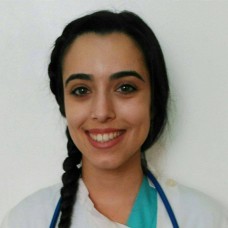 Pet-sitting Animais Ex&oacute;ticos e Acupuntura Veterin&aacute;ria - Veterin&aacute;rios - Lisboa