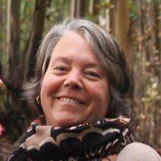 Claudia P. - Limpeza de Telhado