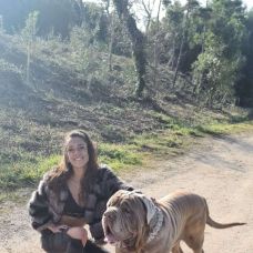 Rita Vasconcelos - Cuidados para Animais de Estimação - Coimbra