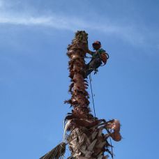 Cláudio Rato - Jardinagem e Relvados - Castanheira de Pêra