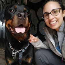 Anna - Treino de Cães - Sintra