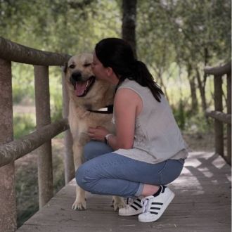 Raquel Caetano - Pet Sitting e Pet Walking - Consultoria de Gestão