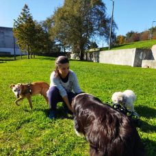 Catarina Dias - Pet Sitting e Pet Walking - Braga