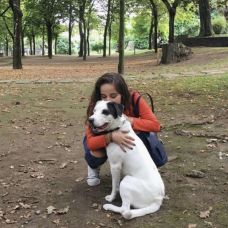 Raquel Meira - Pet Sitting e Pet Walking - Trofa