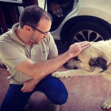 Arquitecto Miguel &Acirc;ngelo Correia - Autocad e Modela&ccedil;&atilde;o - Aveiro