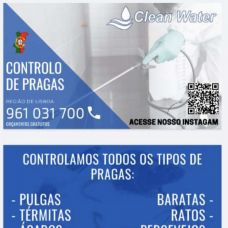 Clean water controlo de pragas - Limpeza da Casa (Recorrente) - São João das Lampas e Terrugem