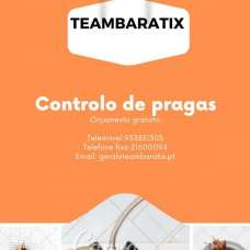TeamBaratix - Desinfestação e Controlo de Pragas - Lisboa