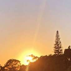 Denise - Limpeza - São Pedro do Sul