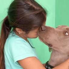 Maria Amélia - Cuidados para Animais de Estimação - Alcobaça