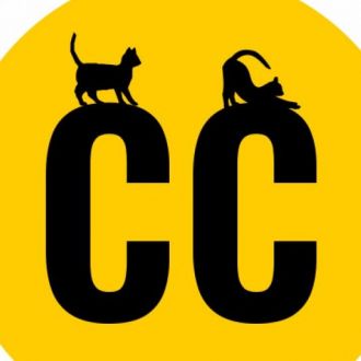 Creative Cats - Web Development - Casal de Cambra